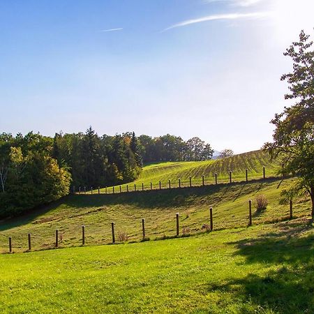 Gite Green Villiers-sur-Tholon Buitenkant foto