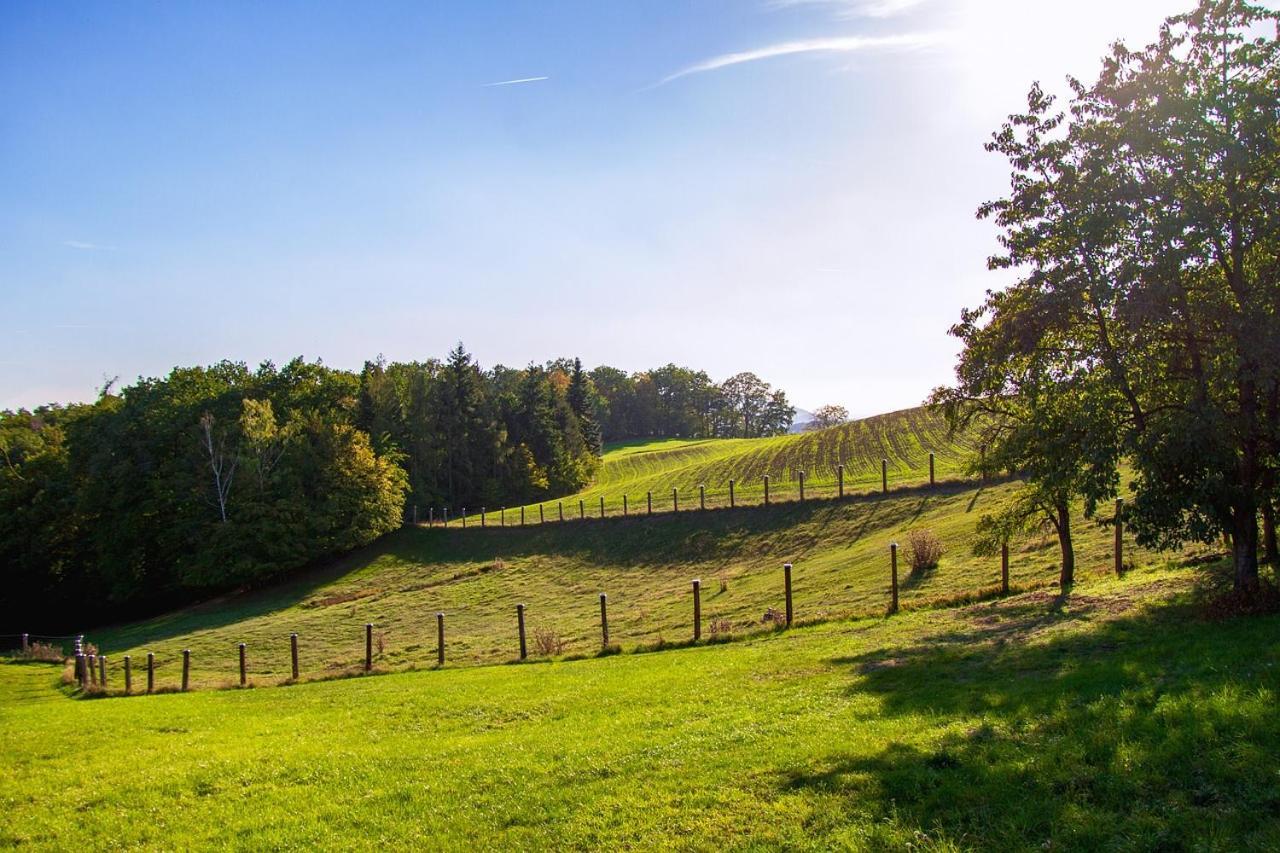 Gite Green Villiers-sur-Tholon Buitenkant foto